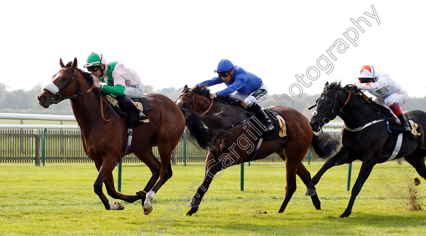 Bell-Rock-0003 
 BELL ROCK (Oisin Murphy) wins The Willow Novice Stakes
Newmarket 24 Oct 2018 - Pic Steven Cargill / Racingfotos.com