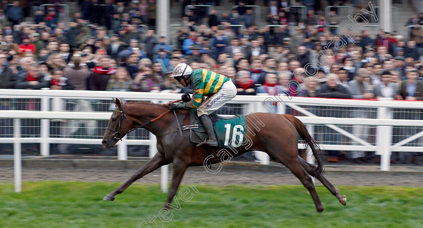 Time-Flies-By-0004 
 TIME FLIES BY (Barry Geraghty) wins The Royal Gloucestershire Hussars Standard Open National Hunt Flat Race
Cheltenham 26 Oct 2019 - Pic Steven Cargill / Racingfotos.com