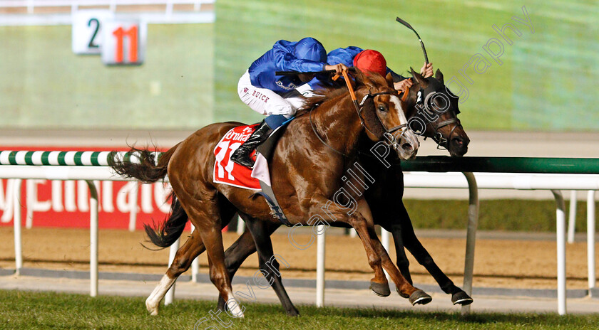 Hawkbill-0005 
 HAWKBILL (left, William Buick) beats FRONTIERSMAN (right) in The Dubai City Of Gold Meydan Dubai 10 Mar 2018 - Pic Steven Cargill / Racingfotos.com