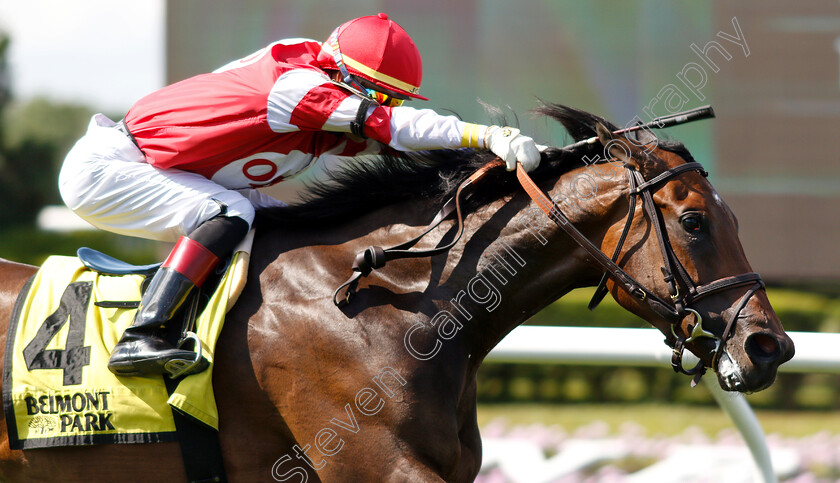 Cambier-Parc-0007 
 CAMBIER PARC (Jose Ortiz) wins The Wonder Again Stakes
Belmont Park USA, 6 Jun 2019 - Pic Steven Cargill / Racingfotos.com