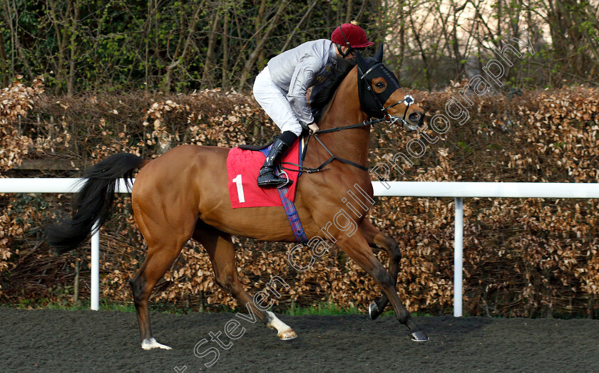 Ghaith-0001 
 GHAITH (Ben Curtis)
Kempton 23 Mar 2019 - Pic Steven Cargill / Racingfotos.com