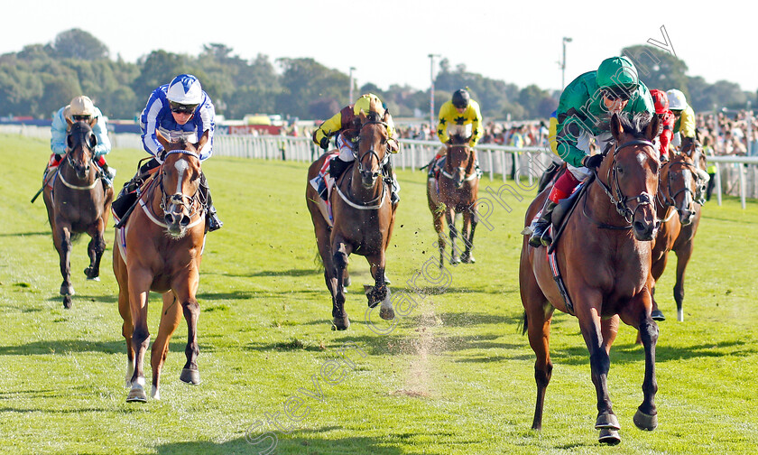 Forest-Of-Dean-0002 
 FOREST OF DEAN (Frankie Dettori) wins The Sky Bet Handicap
York 24 Aug 2019 - Pic Steven Cargill / Racingfotos.com