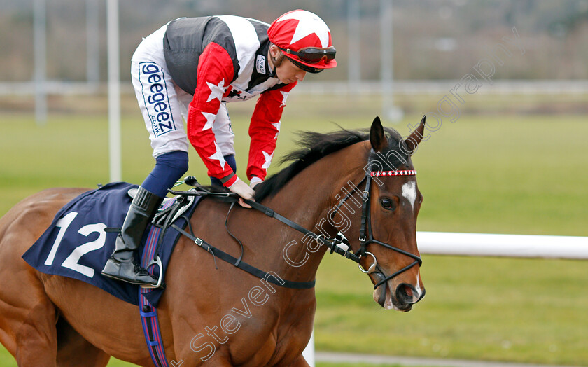 Native-Angel 
 NATIVE ANGEL (David Probert)
Wolverhampton 12 Mar 2022 - Pic Steven Cargill / Racingfotos.com