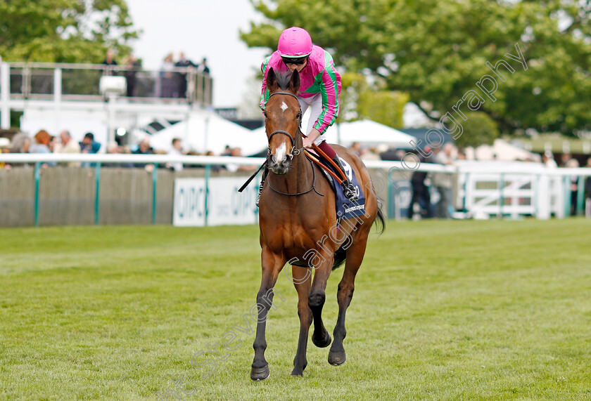 Prosperous-Voyage-0001 
 PROSPEROUS VOYAGE (Rob Hornby)
Newmarket 1 May 2022 - Pic Steven Cargill / Racingfotos.com