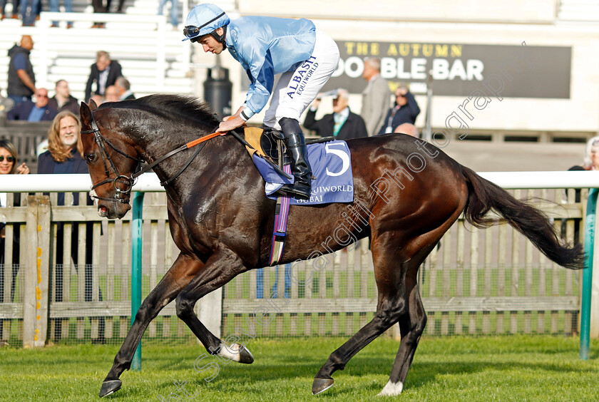 Regal-Reality-0001 
 REGAL REALITY (Ryan Moore)
Newmarket 29 Sep 2023 - Pic Steven Cargill / Racingfotos.com