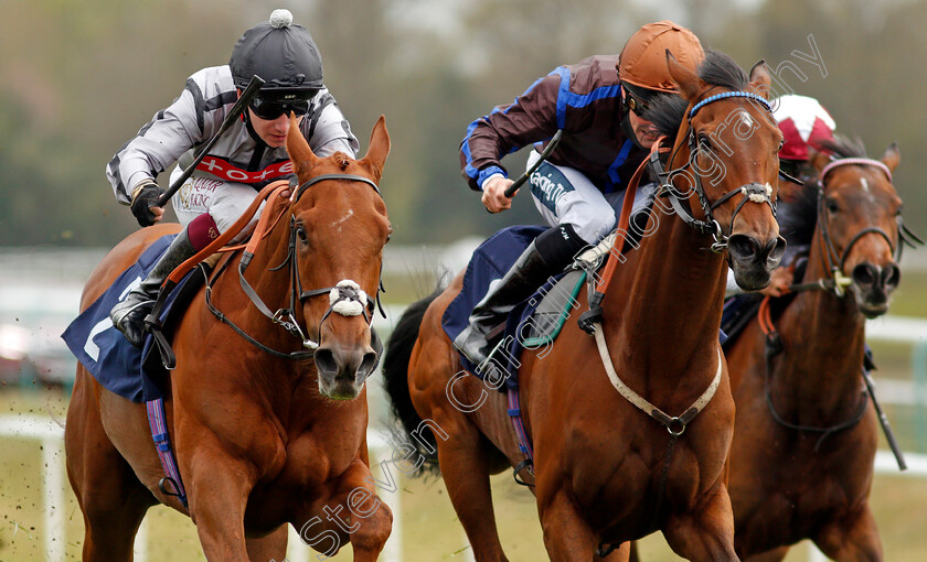 Bounce-The-Blues-and-Parent s-Prayer-0002 
 BOUNCE THE BLUES (left, Oisin Murphy) with PARENT'S PRAYER (right, Paul Mulrennan)
Lingfield 8 May 2021 - Pic Steven Cargill / Racingfotos.com