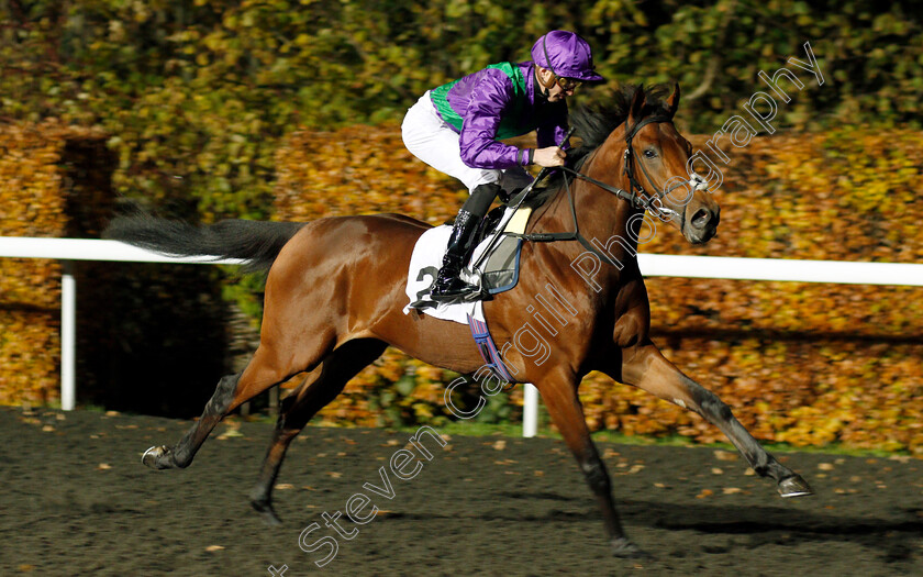 Eastern-Sheriff-0001 
 EASTERN SHERIFF (James Doyle) winner of The 100% Profit Boost At 32redsport.com Novice Median Auction Stakes
Kempton 20 Nov 2019 - Pic Steven Cargill / Racingfotos.com