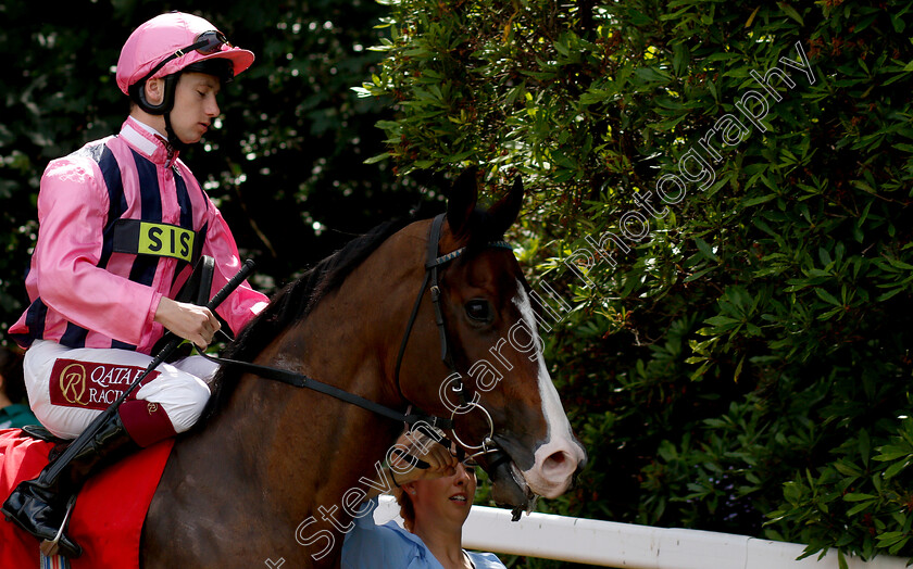 Swiss-Knight-0001 
 SWISS KNIGHT (Oisin Murphy)
Sandown 5 Jul 2019 - Pic Steven Cargill / Racingfotos.com