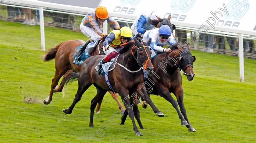 Ropey-Guest-0003 
 ROPEY GUEST (right, Tom Queally) beats POINT LYNAS (centre) in The Clipper Handicap
York 24 Aug 2023 - Pic Steven Cargill / Racingfotos.com