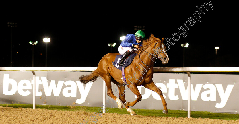 Hathal-0005 
 HATHAL (Nicola Currie) wins The Betway Conditions Stakes
Wolverhampton 7 Jan 2019 - Pic Steven Cargill / Racingfotos.com