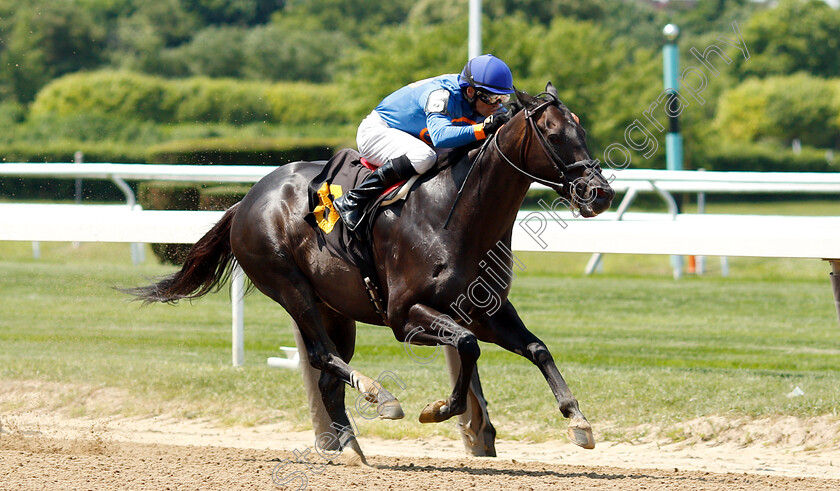 Street-Vision-0002 
 STREET VISION (David Cohen) wins Allowance Race
Belmont Park 7 Jun 2018 - Pic Steven Cargill / Racingfotos.com