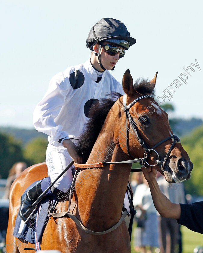 Amalfi-Bay 
 AMALFI BAY (Harry Davies)
Chepstow 27 May 2022 - Pic Steven Cargill / Racingfotos.com