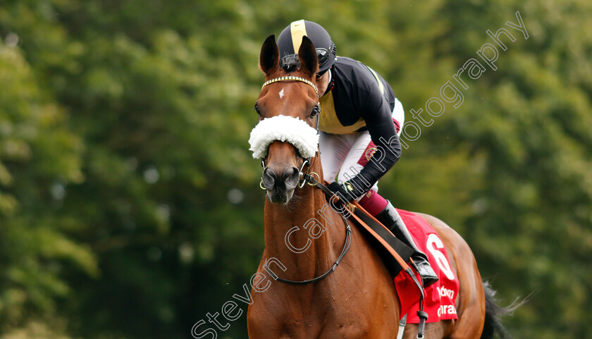 Ranch-Hand-0002 
 RANCH HAND (Oisin Murphy)
Newmarket 11 Jul 2019 - Pic Steven Cargill / Racingfotos.com