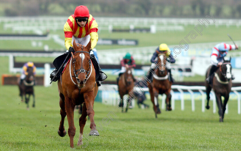 Jarveys-Plate-0004 
 JARVEYS PLATE (Paddy Brennan) wins The Ballymore Novices Hurdle
Cheltenham 1 Jan 2019 - Pic Steven Cargill / Racingfotos.com