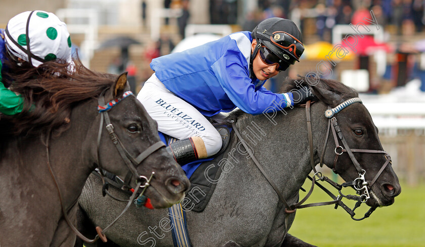 Briar-Smokey-Joe-0002 
 BRIAR SMOKEY JOE (farside, Zak Kent) wins The Shetland Pony Grand National Flat Race
Newmarket 27 Sep 2019 - Pic Steven Cargill / Racingfotos.com