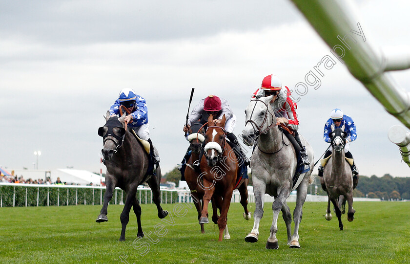 Rodess-Du-Loup-0001 
 RODESS DU LOUP (right, Christophe Soumillon) beats RIJM (centre) and RAJEH (left) in The President Of The UAE Cup
Doncaster 15 Sep 2018 - Pic Steven Cargill / Racingfotos.com