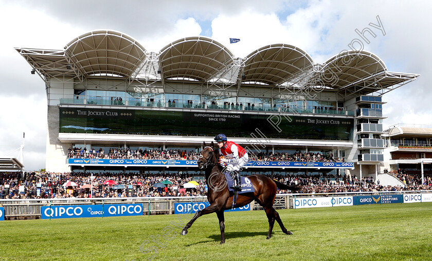 Great-Scot-0001 
 GREAT SCOT (Richard Kingscote)
Newmarket 4 May 2019 - Pic Steven Cargill / Racingfotos.com