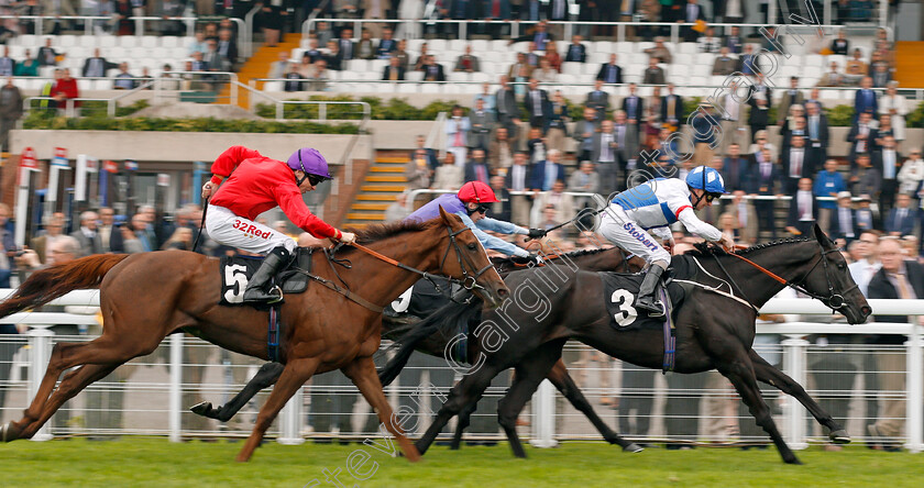 Renfrew-Street-0005 
 RENFREW STREET (Joe Fanning) beats MELINOE (farside) and NOTICE (left) in The TBA Centenary Fillies Handicap Goodwood 27 Sep 2017 - Pic Steven Cargill / Racingfotos.com