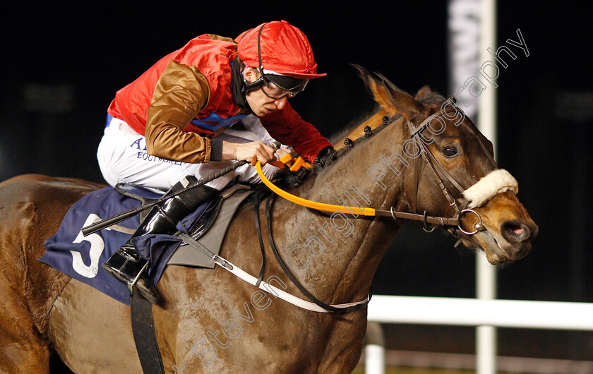 Athmad-0004 
 ATHMAD (Luke Morris) wins The Heed Your Hunch At Betway Handicap
Wolverhampton 5 Dec 2020 - Pic Steven Cargill / Racingfotos.com