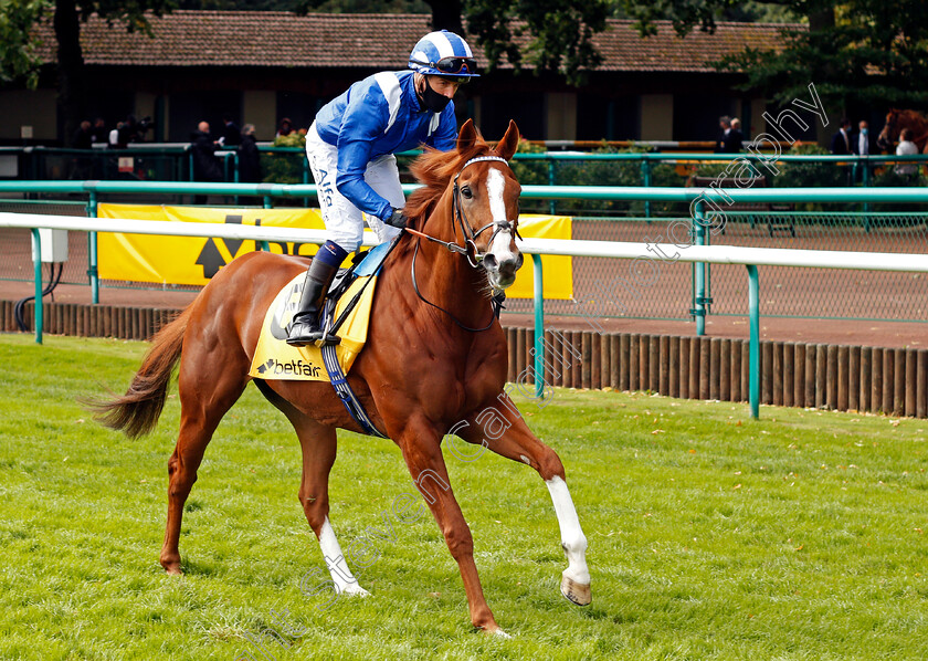 Tabdeed-0001 
 TABDEED (Jim Crowley)
Haydock 5 Sep 2020 - Pic Steven Cargill / Racingfotos.com