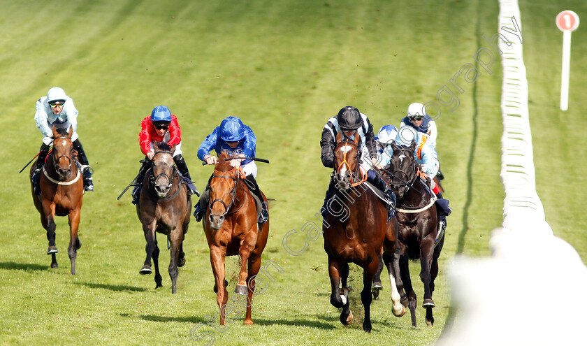 Space-Blues-0002 
 SPACE BLUES (centre, James Doyle) beats URBAN ICON (right) in The Investec Surrey Stakes
Epsom 31 May 2019 - Pic Steven Cargill / Racingfotos.com