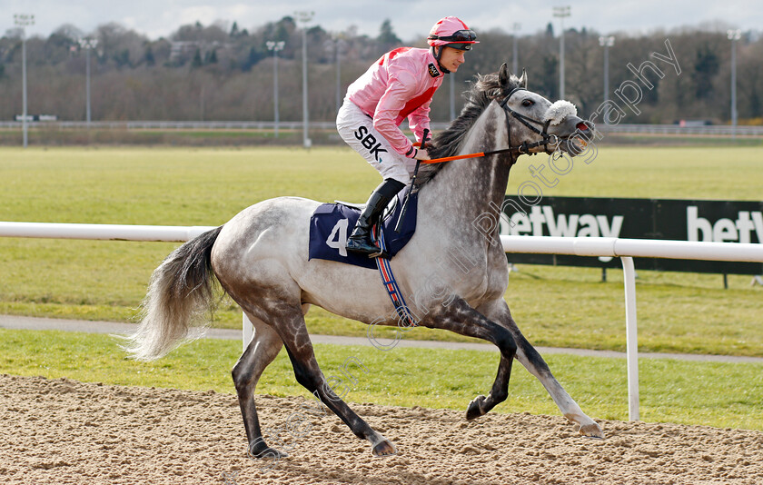 Misty-Grey 
 MISTY GREY (Richard Kingscote)
Wolverhampton 12 Mar 2022 - Pic Steven Cargill / Racingfotos.com