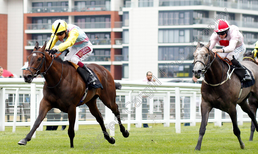 Shadn-0003 
 SHADN (Oisin Murphy) wins The Irish Thoroughbred Marketing Rose Bowl Stakes
Newbury 19 Jul 2019 - Pic Steven Cargill / Racingfotos.com