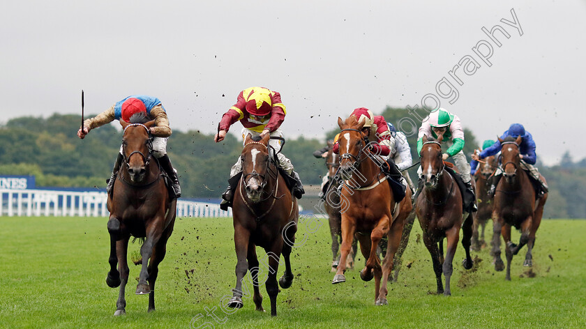 Diego-Ventura-0006 
 DIEGO VENTURA (left, James Doyle) beats SPIRIT OF FARHH (centre) in The Juddmonte British EBF Restricted Novice Stakes
Ascot 6 Sep 2024 - Pic Steven Cargill / Racingfotos.com