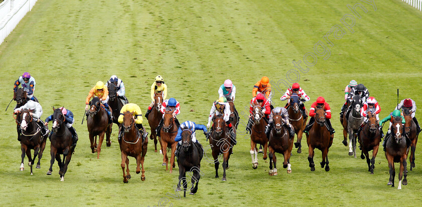 Khaadem-0003 
 KHAADEM (Jim Crowley) wins The Unibet Stewards Cup
Goodwood 3 Aug 2019 - Pic Steven Cargill / Racingfotos.com