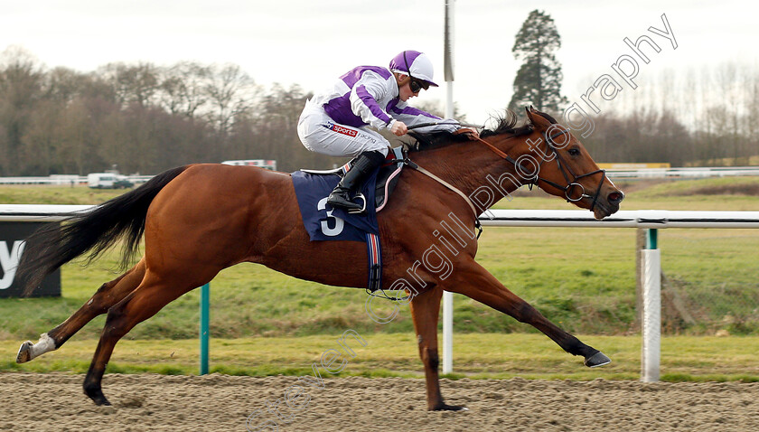 Gorgeous-Noora-0004 
 GORGEOUS NOORA (Hollie Doyle) wins The Play 4 To Score At Betway Handicap
Lingfield 18 Jan 2019 - Pic Steven Cargill / Racingfotos.com