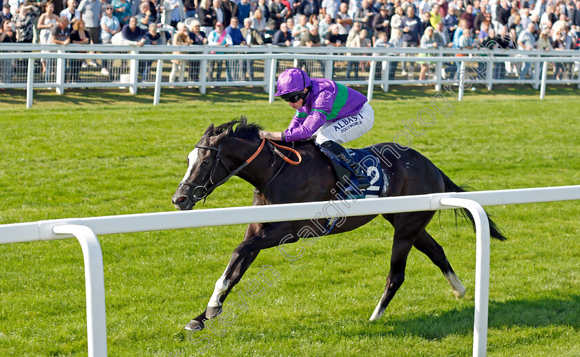 Ville-De-Grace-0005 
 VILLE DE GRACE (Ryan Moore) wins The EBF Stallions John Musker Fillies Stakes
Yarmouth 15 Sep 2021 - Pic Steven Cargill / Racingfotos.com