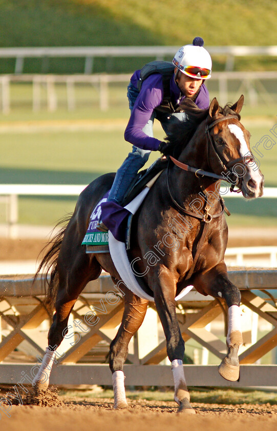 Bricks-And-Mortar-0002 
 BRICKS AND MORTAR training for the Breeders' Cup Turf
Santa Anita USA 30 Oct 2019 - Pic Steven Cargill / Racingfotos.com