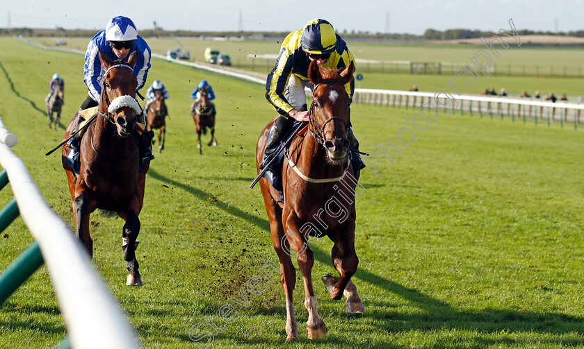 Wind-Your-Neck-In-0003 
 WIND YOUR NECK IN (right, Ryan Moore) beats AEGIS POWER (left) in The British EBF Future Stayers Nursery
Newmarket 20 Oct 2021 - Pic Steven Cargill / Racingfotos.com