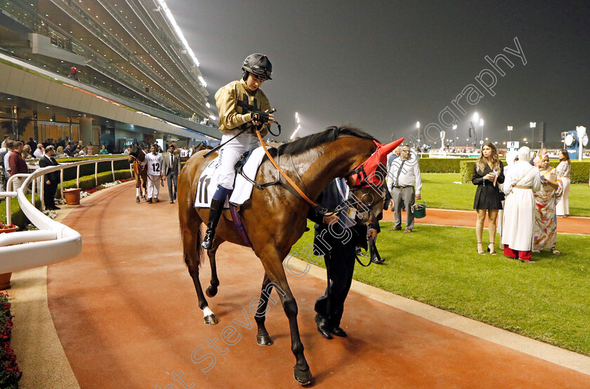 Ouzo-0001 
 OUZO (Saffie Osborne)
Meydan 3 Feb 2023 - Pic Steven Cargill / Racingfotos.com