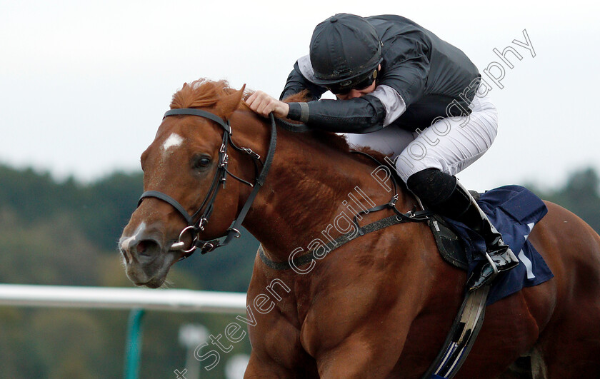 Roundabout-Magic-0002 
 ROUNDABOUT MAGIC (Nicky Mackay) 
Lingfield 4 Oct 2018 - Pic Steven Cargill / Racingfotos.com