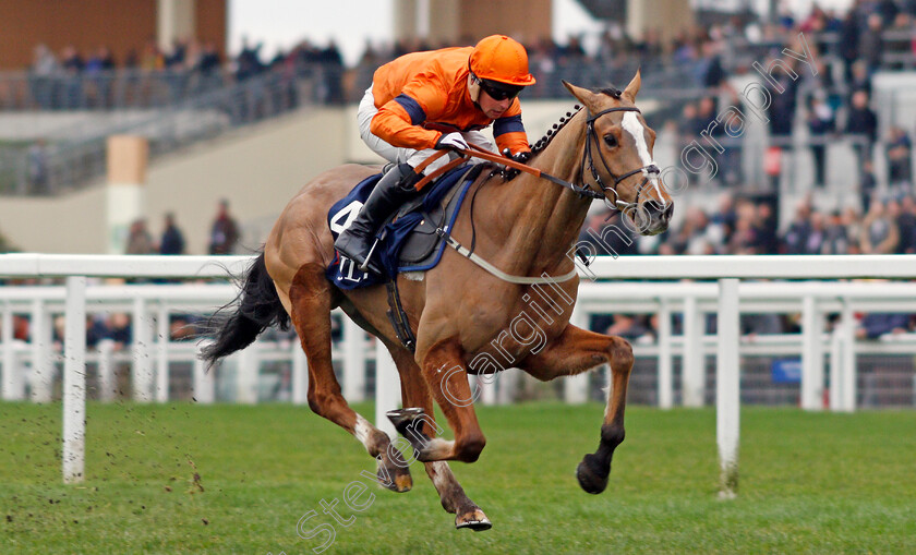 Sam-Spinner-0004 
 SAM SPINNER (Joe Colliver) wins The JLT Reve De Sivola Long Walk Hurdle Ascot 23 Dec 2017 - Pic Steven Cargill / Racingfotos.com