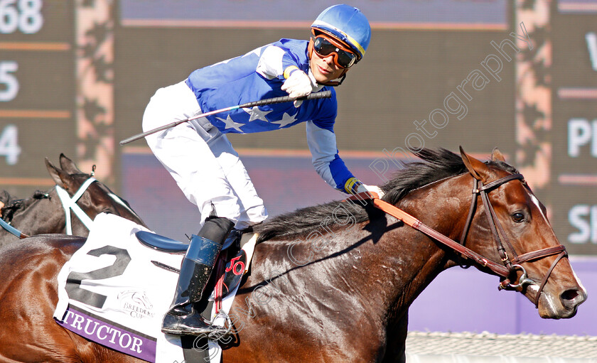 Structor-0006 
 STRUCTOR (Jose Ortiz) wins The Breeders' Cup Juvenile Turf
Santa Anita USA 1 Nov 2019 - Pic Steven Cargill / Racingfotos.com