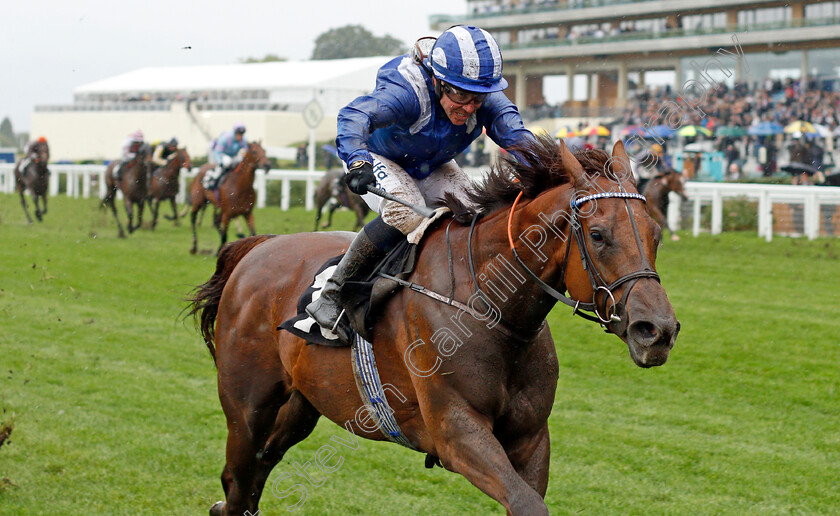 Aldaary-0003 
 ALDAARY (Jim Crowley) wins The Equine Productions The Fall Challenge Cup Handicap
Ascot 2 Oct 2021 - Pic Steven Cargill / Racingfotos.com