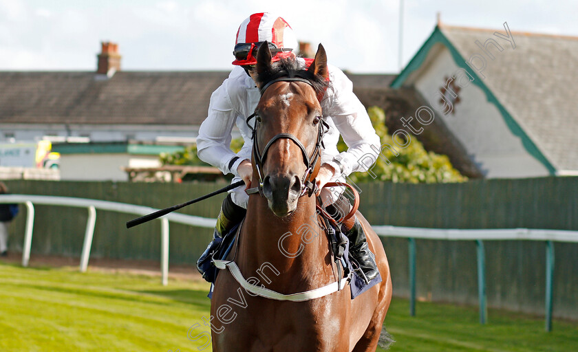 Futuristic-0001 
 FUTURISTIC (Callum Shepherd) winner of The Moulton Nurseries Of Acle Novice Stakes
Yarmouth 17 Sep 2019 - Pic Steven Cargill / Racingfotos.com