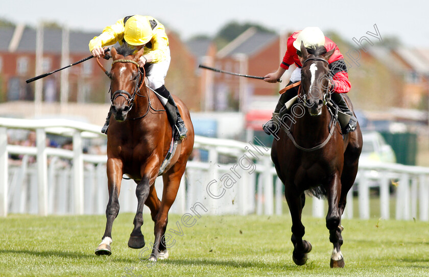 Boerhan-and-Sheila s-Showcase-0002 
 BOERHAN (left, James Doyle) dead-heats with SHEILA'S SHOWCASE (right, Charles Bishop) in The Don Deadman Memorial EBF Maiden Stakes Div2
Newbury 17 Aug 2018 - Pic Steven Cargill / Racingfotos.com