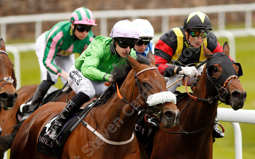 Formidable-Kitt-and-Global-Academy-0002 
 FORMIDABLE KITT (left, Richard Kingscote) and GLOBAL ACADEMY (right) 
Chester 9 May 2018 - Pic Steven Cargill / Racingfotos.com