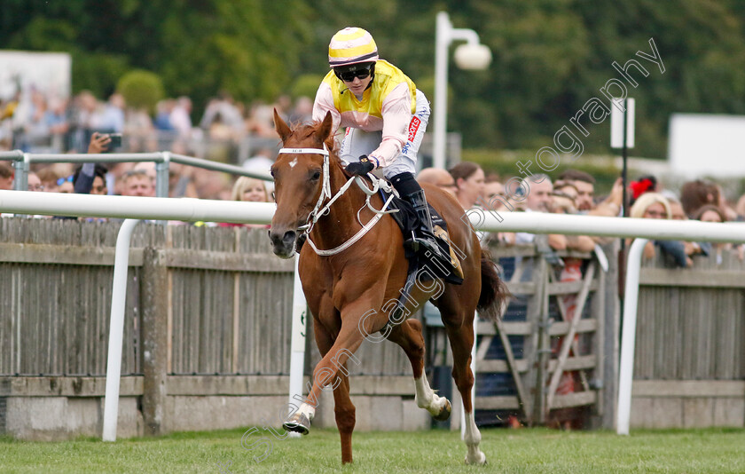 Jalea-Moon-0006 
 JALEA MOON (Hollie Doyle) wins The Follow @racingtv On Twitter Fillies Handicap
Newmarket 29 Jul 2022 - Pic Steven Cargill / Racingfotos.com