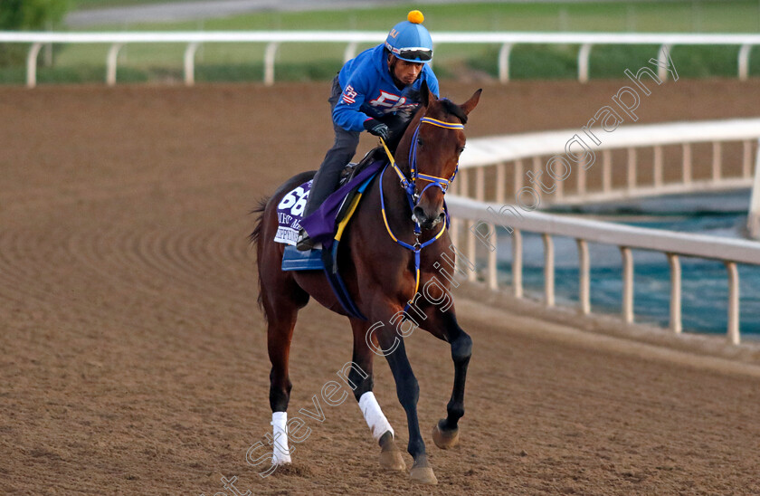 Skippylongstocking-0001 
 SKIPPYLONGSTOCKING training for The Breeders' Cup Dirt Mile
Santa Anita USA, 31 October 2023 - Pic Steven Cargill / Racingfotos.com