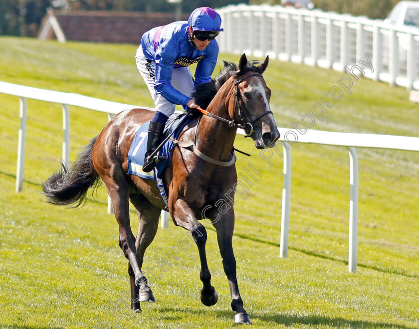 Vintager-0001 
 VINTAGER (Jim Crowley) Sandown 2 Sep 2017 - Pic Steven Cargill / Racingfotos.com