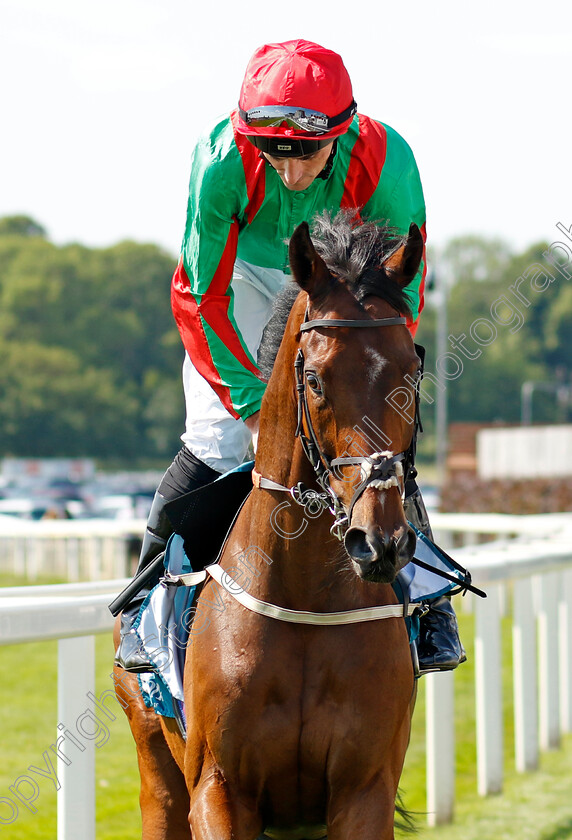 Azano-0001 
 AZANO (Daniel Tudhope)
York 16 Jun 2023 - Pic Steven Cargill / Racingfotos.com