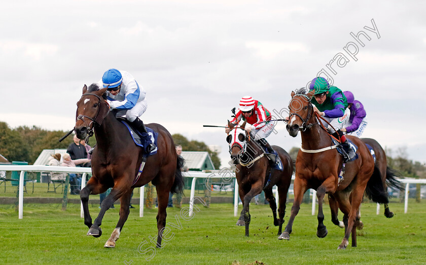 Ideal-Guest-0004 
 IDEAL GUEST (Mikkel Mortensen) beats ASTRAL SPIRIT (right) in The Regular Offers On Bresbet.com Handicap
Yarmouth 16 Oct 2023 - Pic Steven Cargill / Racingfotos.com