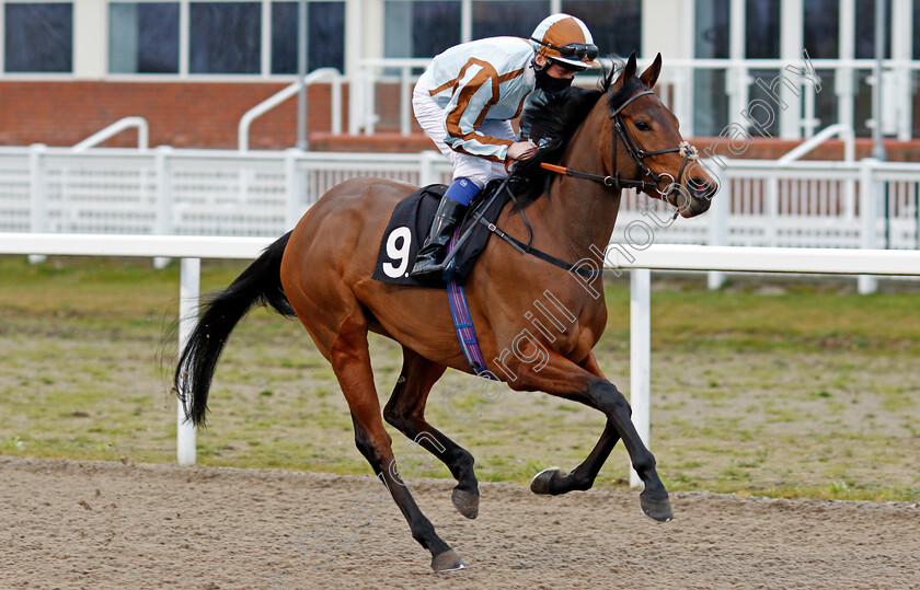 Thunder-Lily-0001 
 THUNDER LILY (Martin Dwyer)
Chelmsford 4 Mar 2021 - Pic Steven Cargill / Racingfotos.com