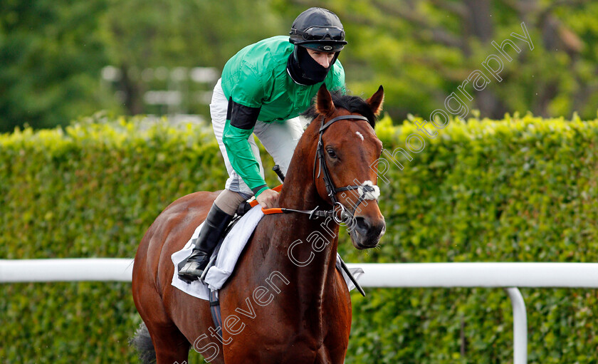 Bakersboy-0001 
 BAKERSBOY (Richard Kingscote)
Kempton 2 Jun 2021 - Pic Steven Cargill / Racingfotos.com