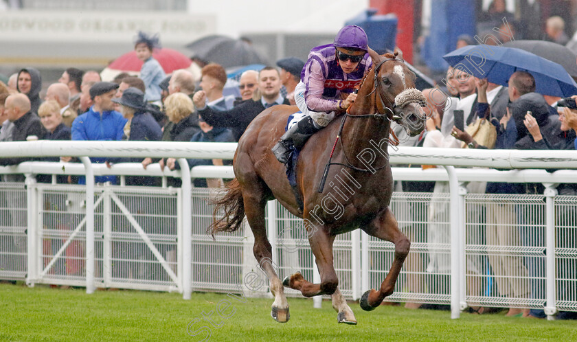 The-Goat-0003 
 THE GOAT (Jason Watson) wins The Coral Handicap
Goodwood 2 Aug 2023 - Pic Steven Cargill / Racingfotos.com