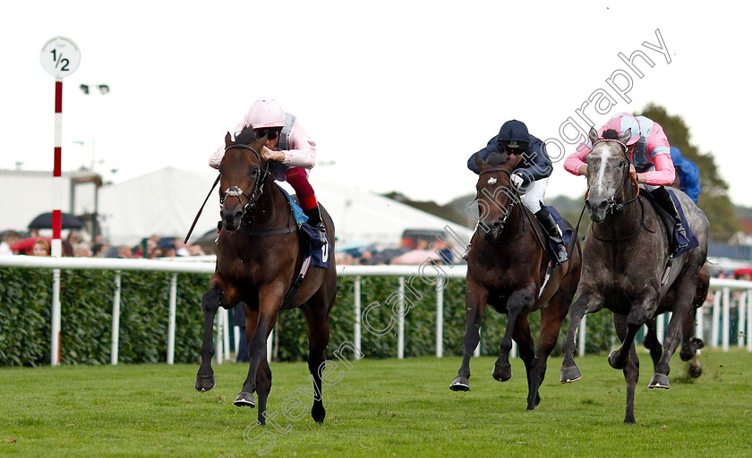 Too-Darn-Hot-0003 
 TOO DARN HOT (Frankie Dettori) wins The Howcroft Industrial Supplies Champagne Stakers
Doncaster 15 Sep 2018 - Pic Steven Cargill / Racingfotos.com